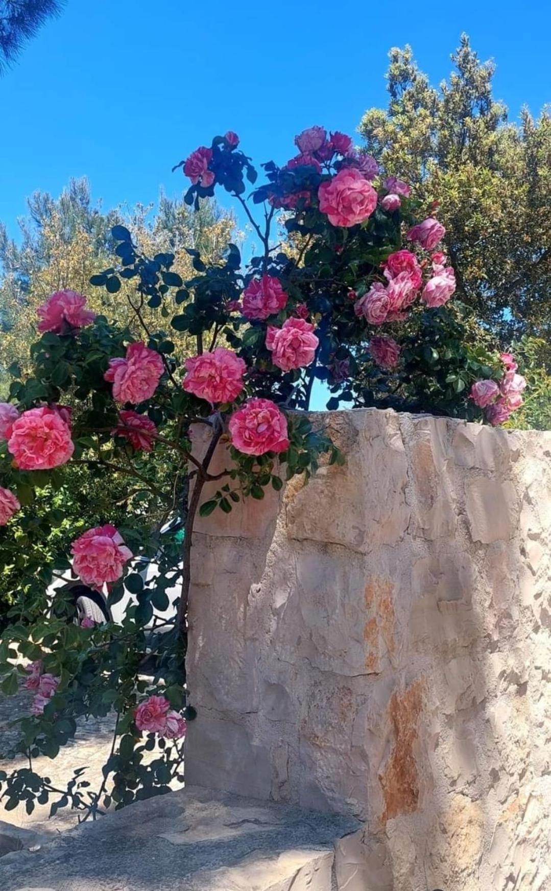 Il Trullo Delle Rose, Monopoli By Il Pumo Di Puglia Vila Cozzana Exterior foto
