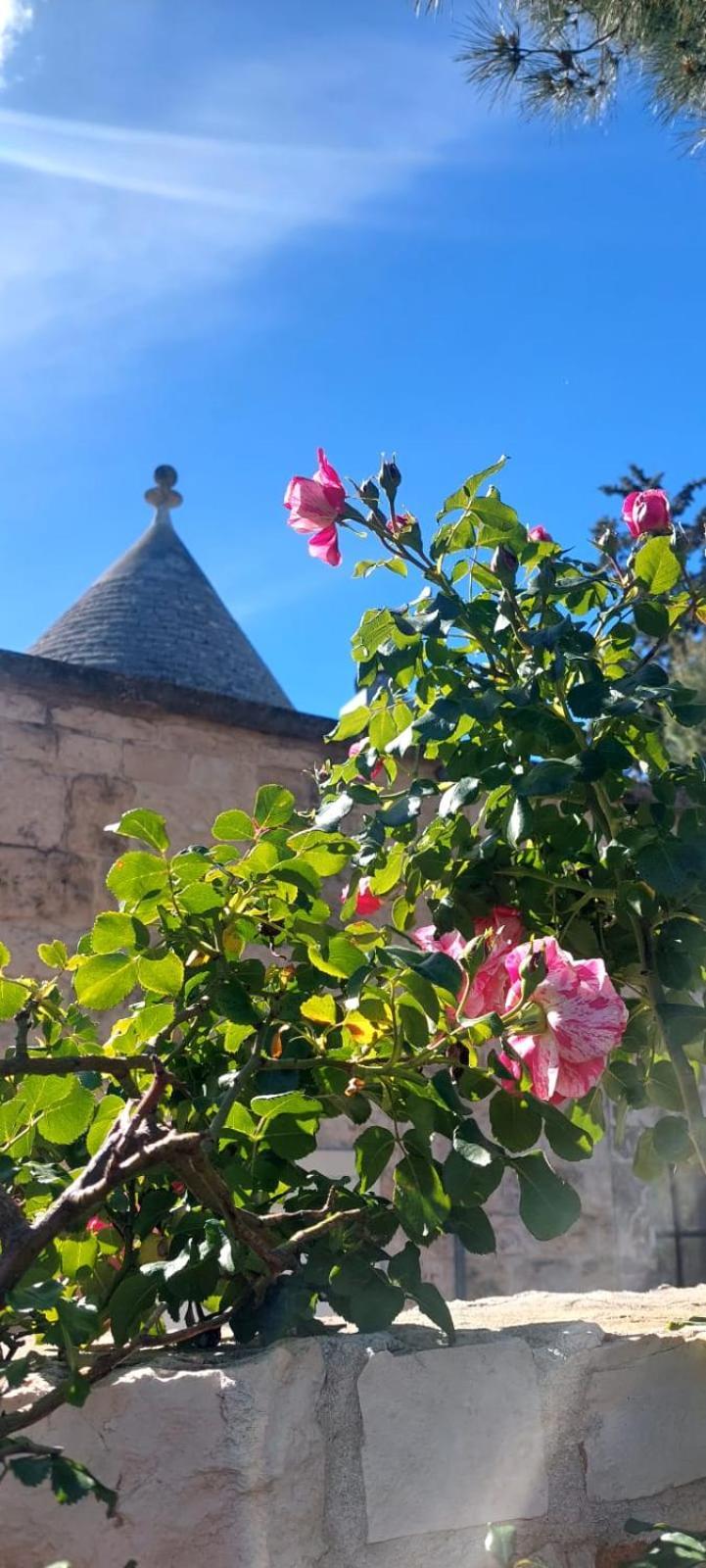 Il Trullo Delle Rose, Monopoli By Il Pumo Di Puglia Vila Cozzana Exterior foto
